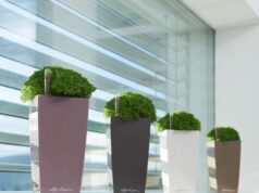 Как выбрать горшки для комнатных растений? Обзор кашпо от Lechuza