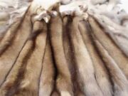 Мех соболя: правила ухода