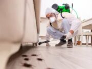 Клопы: чем они опасны и как от них избавиться?