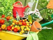 Открываем дачный сезон: что обязательно пригодится огороднику и садоводу?