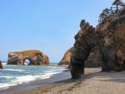 Экскурсия на Юг Сахалина на Мыс Великан и мыс Птичий: что посмотреть?