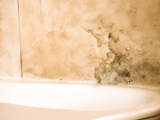 Удаление плесени и грибка — виды и опасность, этапы работы и современные методы безопасного удаления