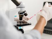 Анализы крови: виды, описание, показания к выполнению, правила подготовки