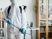 Профессиональная обработка от мух: методы и рекомендации по уничтожению