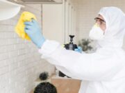 Уничтожение плесени и грибка в квартире: этапы, особенности и почему стоит доверить профессионалам