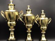 Кубки: виды, характеристики и критерии выбора