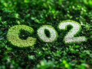 Что такое углеродный след и как его рассчитать