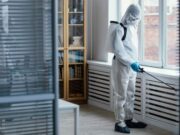 Профессиональная обработка от моли в Москве: почему это выгодно.