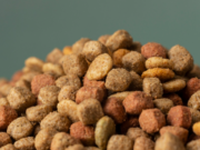 Правильное питание домашних животных: ассортимент и преимущества качественного корма