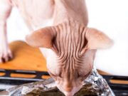 Запечённый целиком карп в духовке в фольге