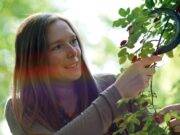 К чему снится садить лук во сне женщине