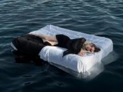 Сон о множестве воды: толкование