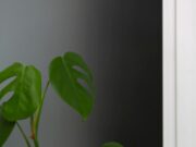 Каждый день лучше предыдущего