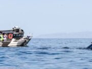 Морские прогулки из Териберки: путешествие по Баренцеву морю