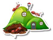 Муравьи во сне: значение для женщин