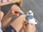 Сплетение попугая из резинок на рогатке