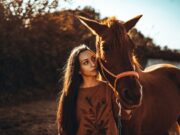 Красивый коричневый конь во сне: символ и значение