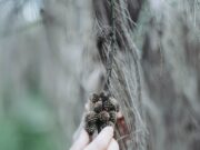 Избавление от порчи на смерть: практические советы