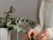 Медовый торт в домашних условиях