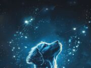 Гороскоп 1972 года: животное для мужчины