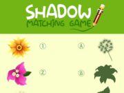 Сентфор: Гайд по тени 2 сезона