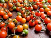 Толкование сна: много красных помидоров на кустах