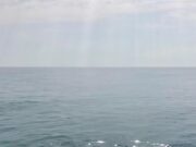 К чему снится упавший самолет в воду