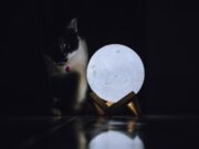 Значение перевернутой Луны в Таро: да или нет?