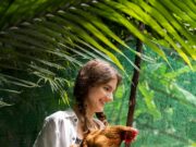 Петух во сне для женщины: толкование