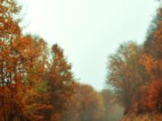 Пожелания в дорогу: счастливого пути!