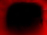 Где найти сохранения в Dying Light на Steam