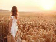 К чему снится пшеничное поле