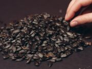 Толкование сна: к чему снятся очищенные семечки