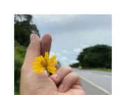 Настройка Mi Band 4: Пошаговое руководство