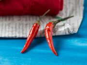 Язык чили: значение и происхождение