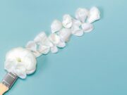 Толкование сна: белая краска