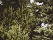 Молитва для исцеления после расставания