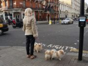 Гугл Мапс: Виртуальная прогулка по улицам