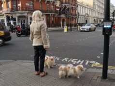 Гугл Мапс: Виртуальная прогулка по улицам