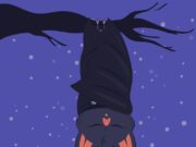 Убить летучую мышь во сне: советы и методы