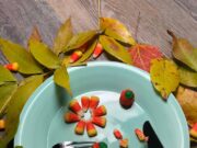 Оригинальные способы пожелать приятного аппетита