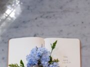 Короткие стихи о цветах