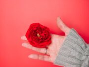 Цветок любви: символ вечной страсти