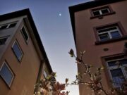 Солнце партнера в 5 доме: влияние на творчество и хобби