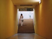 Вход в киасоу через есиа