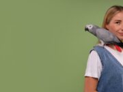 Голубой попугай во сне: толкование