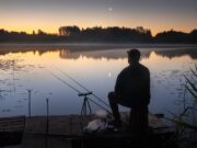Карп во сне мужчины: толкование и значение
