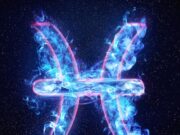 Знак зодиака для рожденных 24 ноября