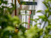 Индикатор для полива комнатных растений