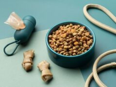 Корм для собак: как выбрать качественное питание и избежать ошибок